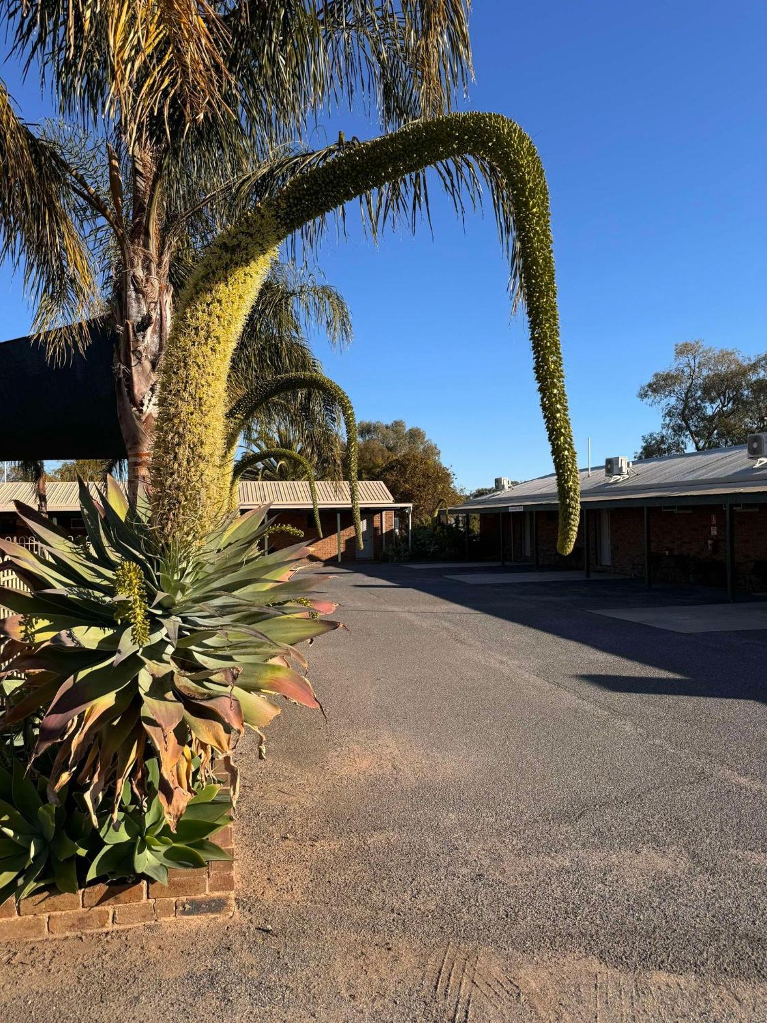 Tooleybuc Motel Exterior photo